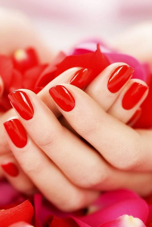 hands-nails-finger-manicure-red-rose